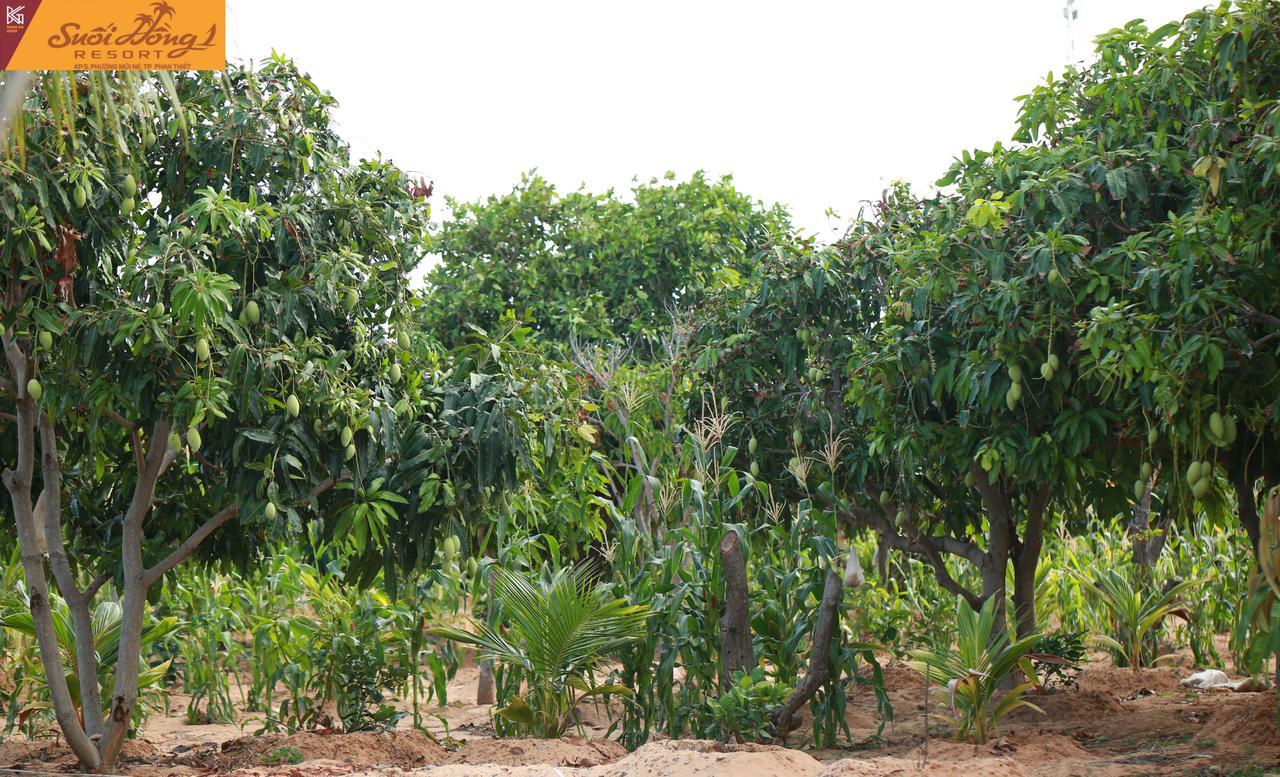 Suoi Hong Resort Mui Ne Exteriör bild